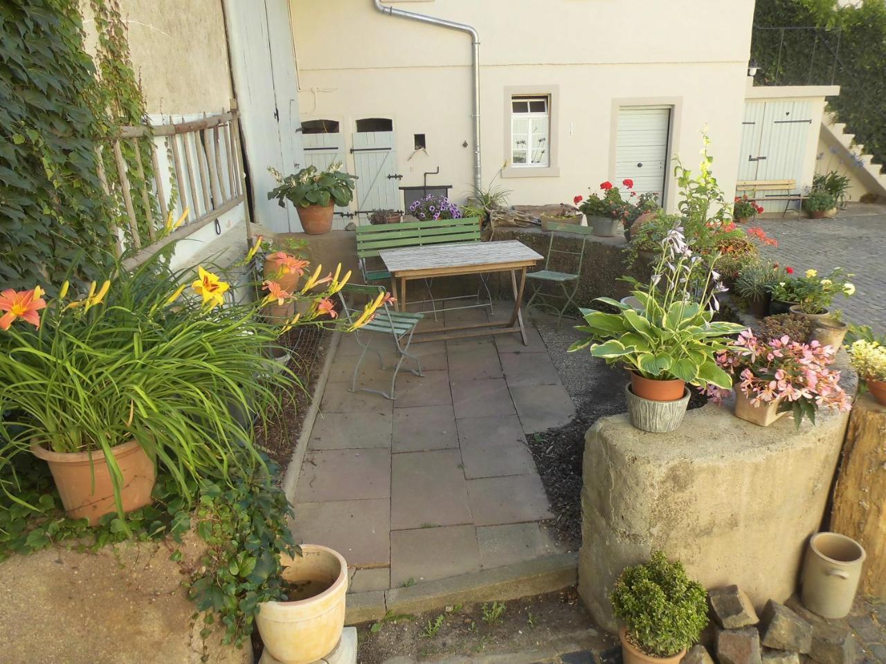 Gaestezimmer Mittelgasse Florsheim-Dalsheim Zewnętrze zdjęcie
