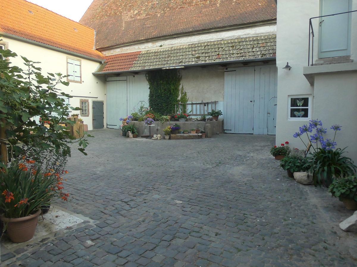 Gaestezimmer Mittelgasse Florsheim-Dalsheim Zewnętrze zdjęcie