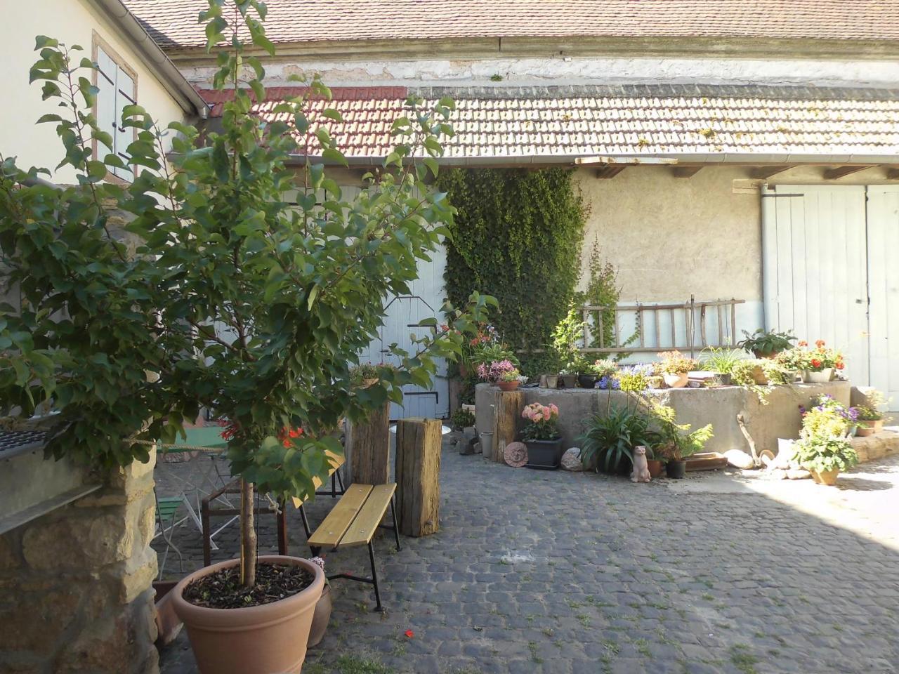 Gaestezimmer Mittelgasse Florsheim-Dalsheim Zewnętrze zdjęcie